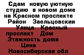 Сдам  новую уютную студию  в новом доме на Красном проспекте!  › Район ­ Заельцовскии › Улица ­ Красный проспект › Дом ­ 173/1 › Этажность дома ­ 25 › Цена ­ 16 000 - Новосибирская обл., Новосибирск г. Недвижимость » Квартиры аренда   . Новосибирская обл.